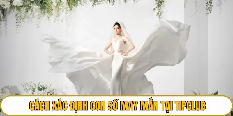 Cách xác định con số may mắn tại TIPCLUB