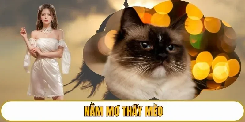 Nằm mơ thấy mèo