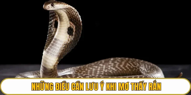 Những điều cần lưu ý khi chiêm bao thấy rắn